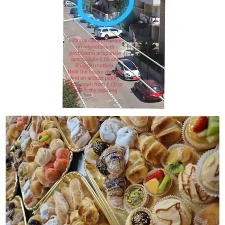 Le Camelie Bosa
